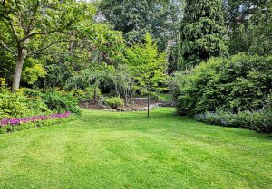 Optimiser l'expérience du jardin à Montrouveau